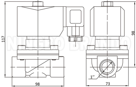 2W250-25 1'' 2 উপায় স্বাভাবিকভাবে বন্ধ ব্রাস ওয়াটার Solenoid ভালভ 24V 220V