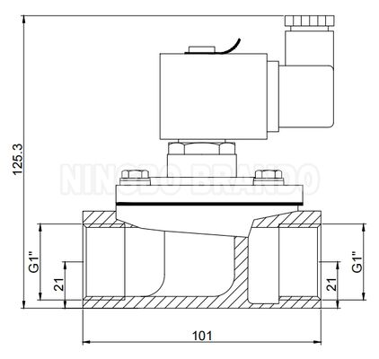 ১'' ডাস্ট কালেক্টর এর জন্য সরাসরি পালস জেট ভালভ 24V 110V 220V